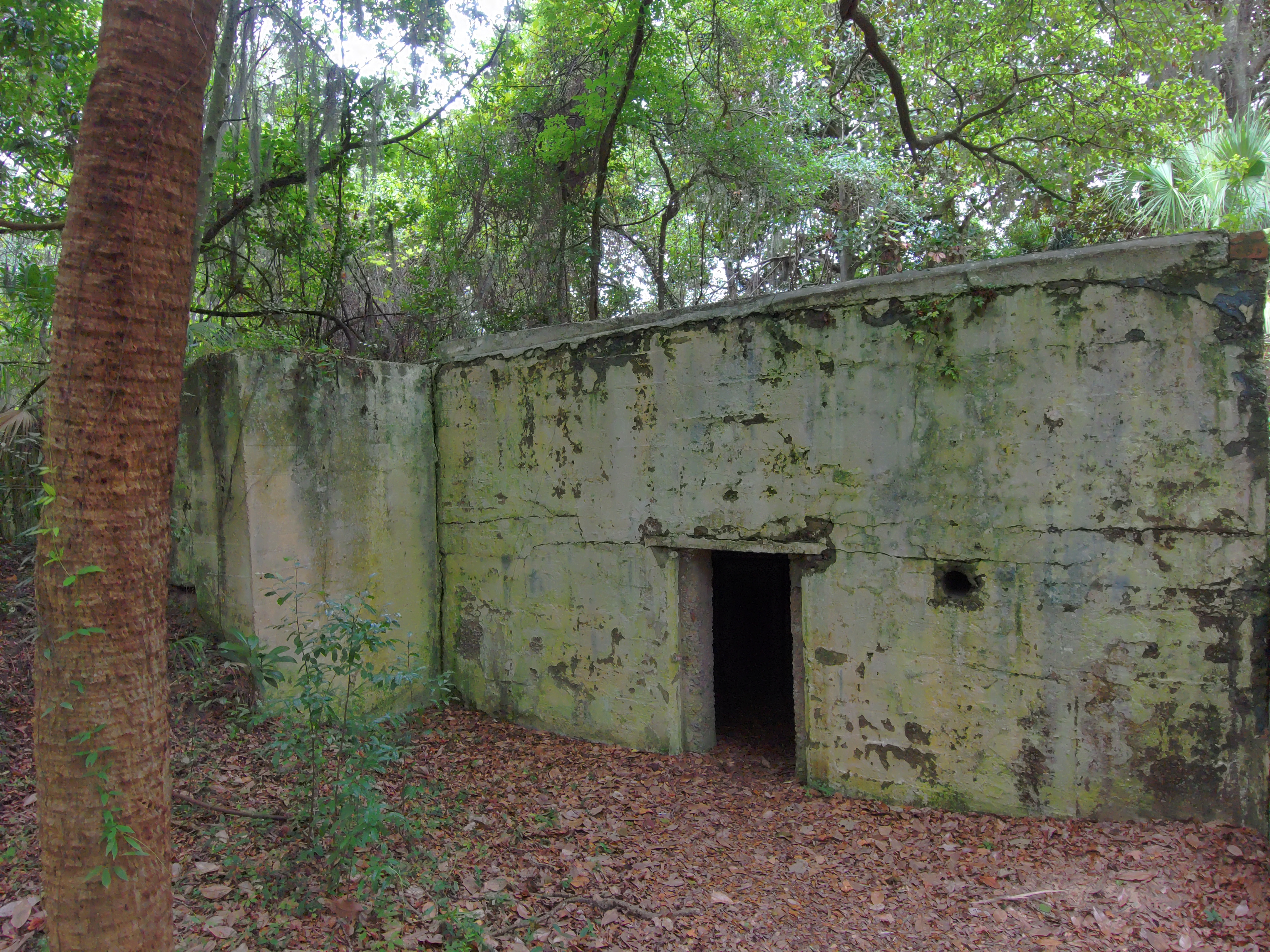 Ruins of old fortification