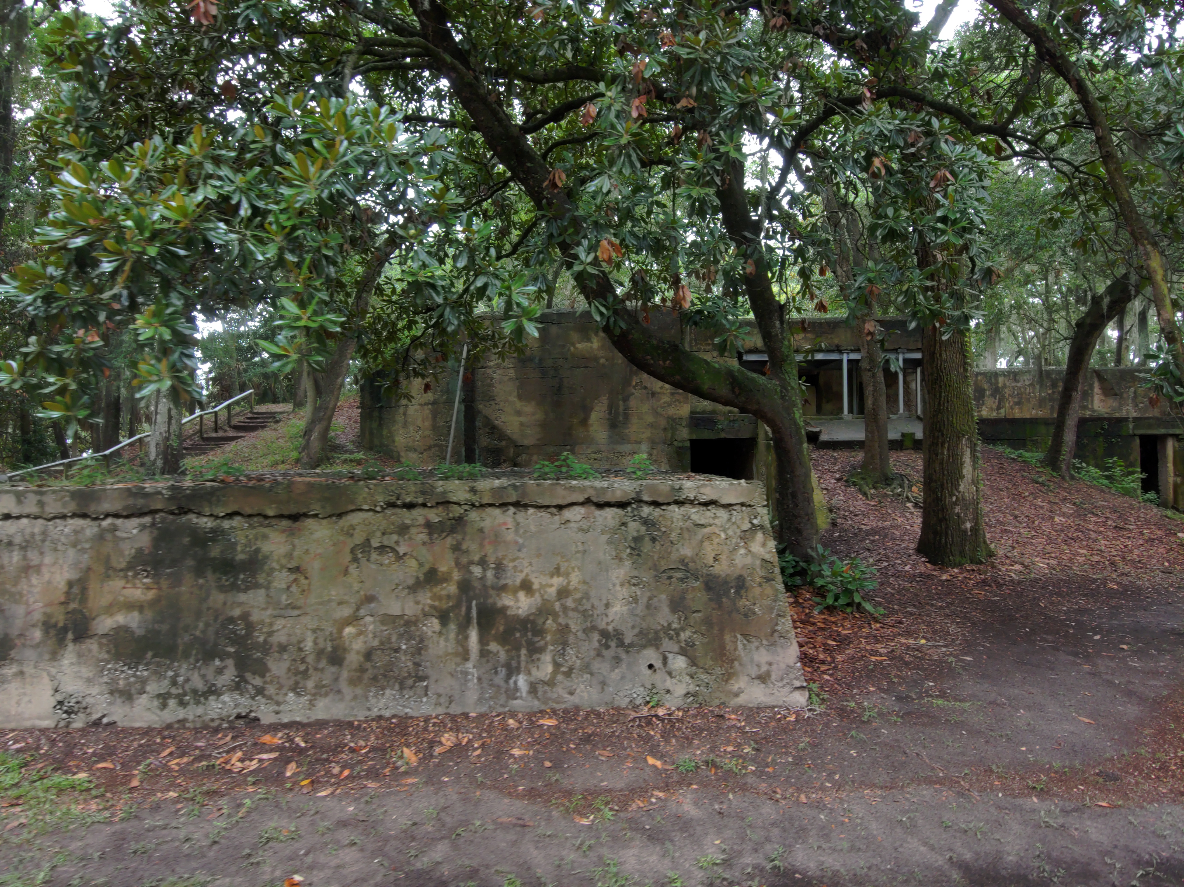 Image of overgrown historic structure